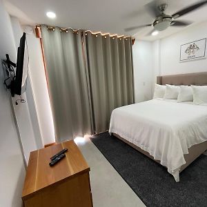 Studio Suite